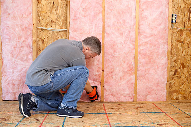 Best Insulation Removal  in Greensboro, NC