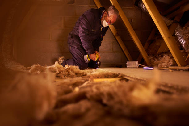 Best Cellulose Insulation  in Greensboro, NC